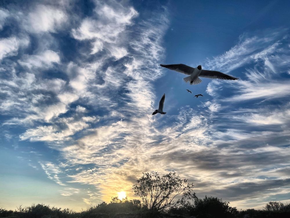 Photograph by Galina Baranovskaja