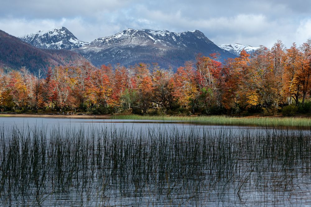 Photograph by Félix Cárrega