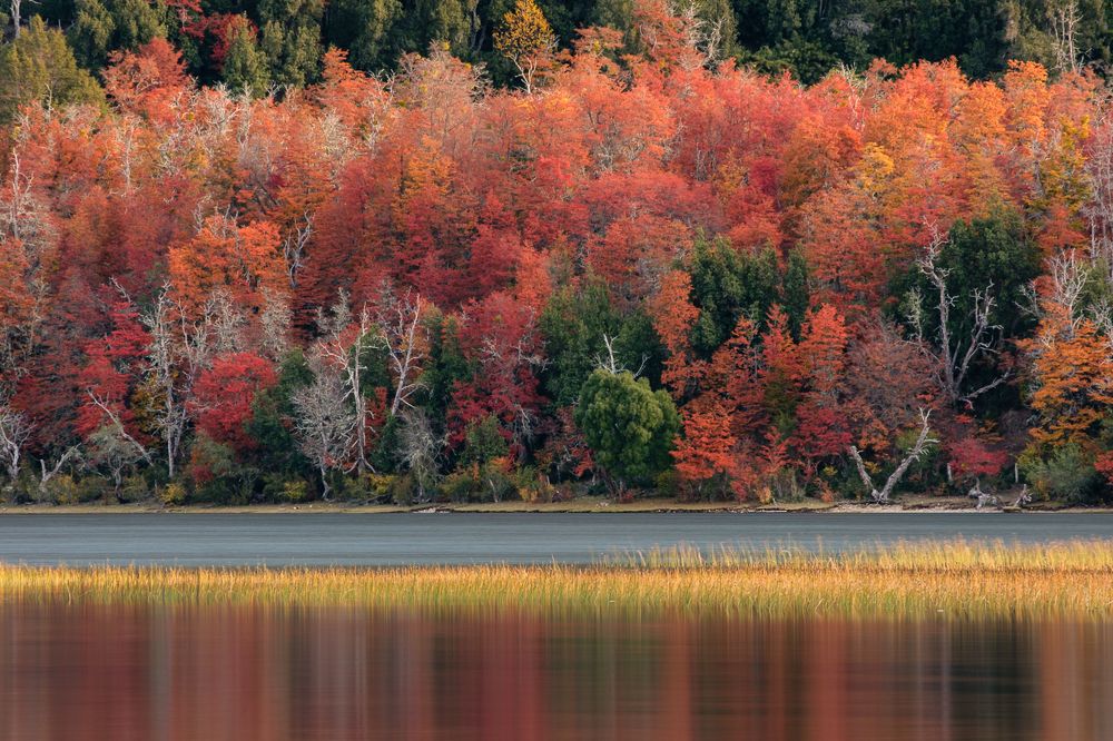 Autum in Patagonia