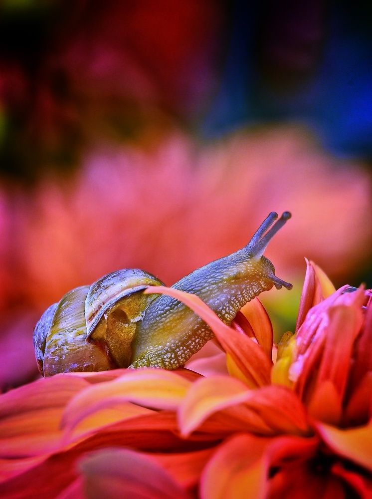Photograph by 