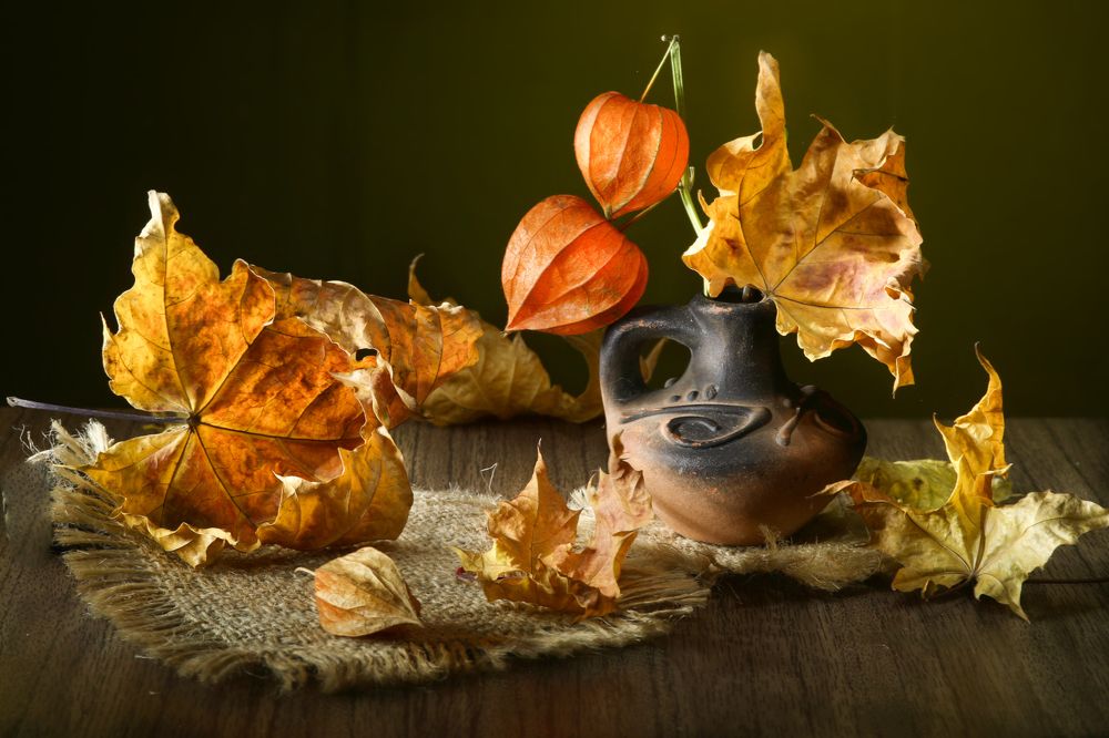 Photograph by Шруб (Беляева) Татьяна