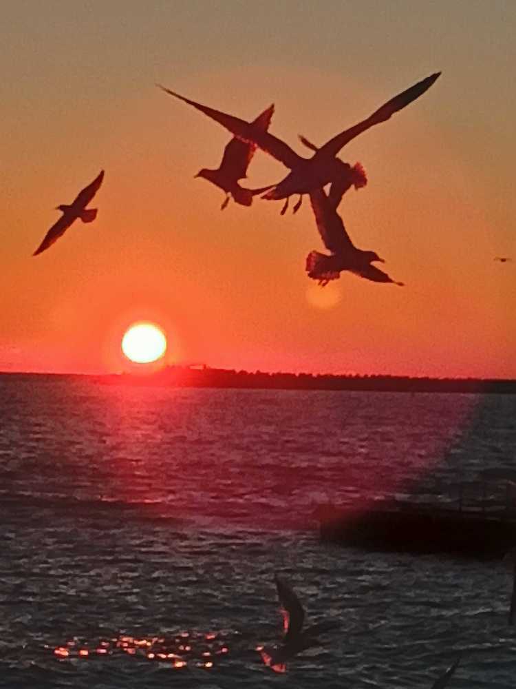 Жизнь на закате