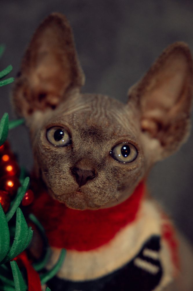 Photograph by Татьяна Савкина