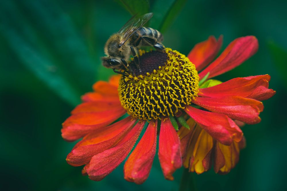 Photograph by Ольга Тюрина