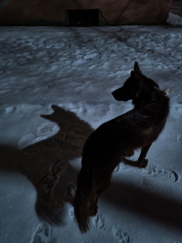 Photograph by Андрей Баталов