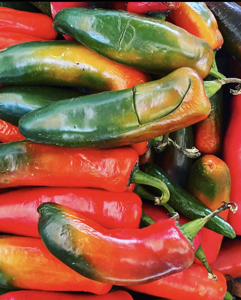 Фотография автора Ольга Дробышева