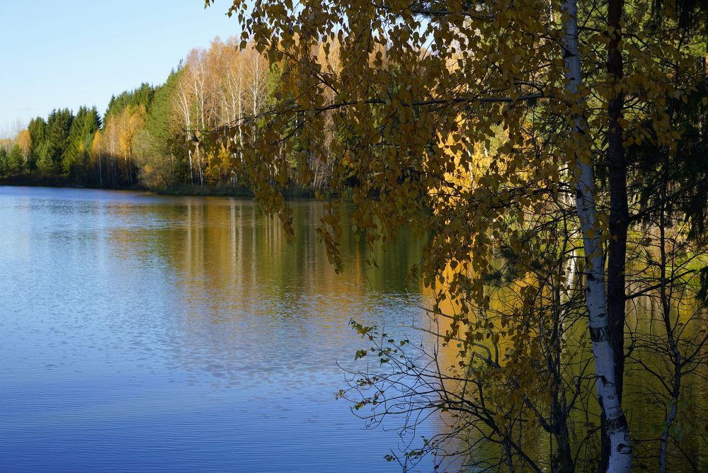 Измаил Ефимов. Россия, г.Йошкар-Ола. Осенний мотив. Алексеевский пруд. 2022.