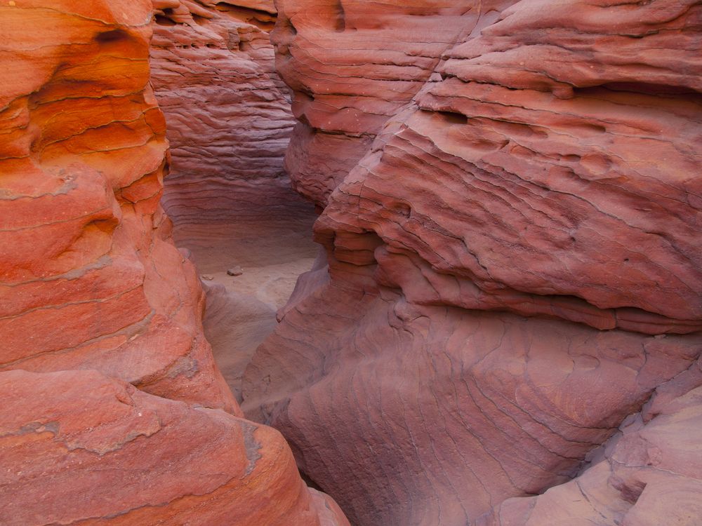 Photograph by Александр