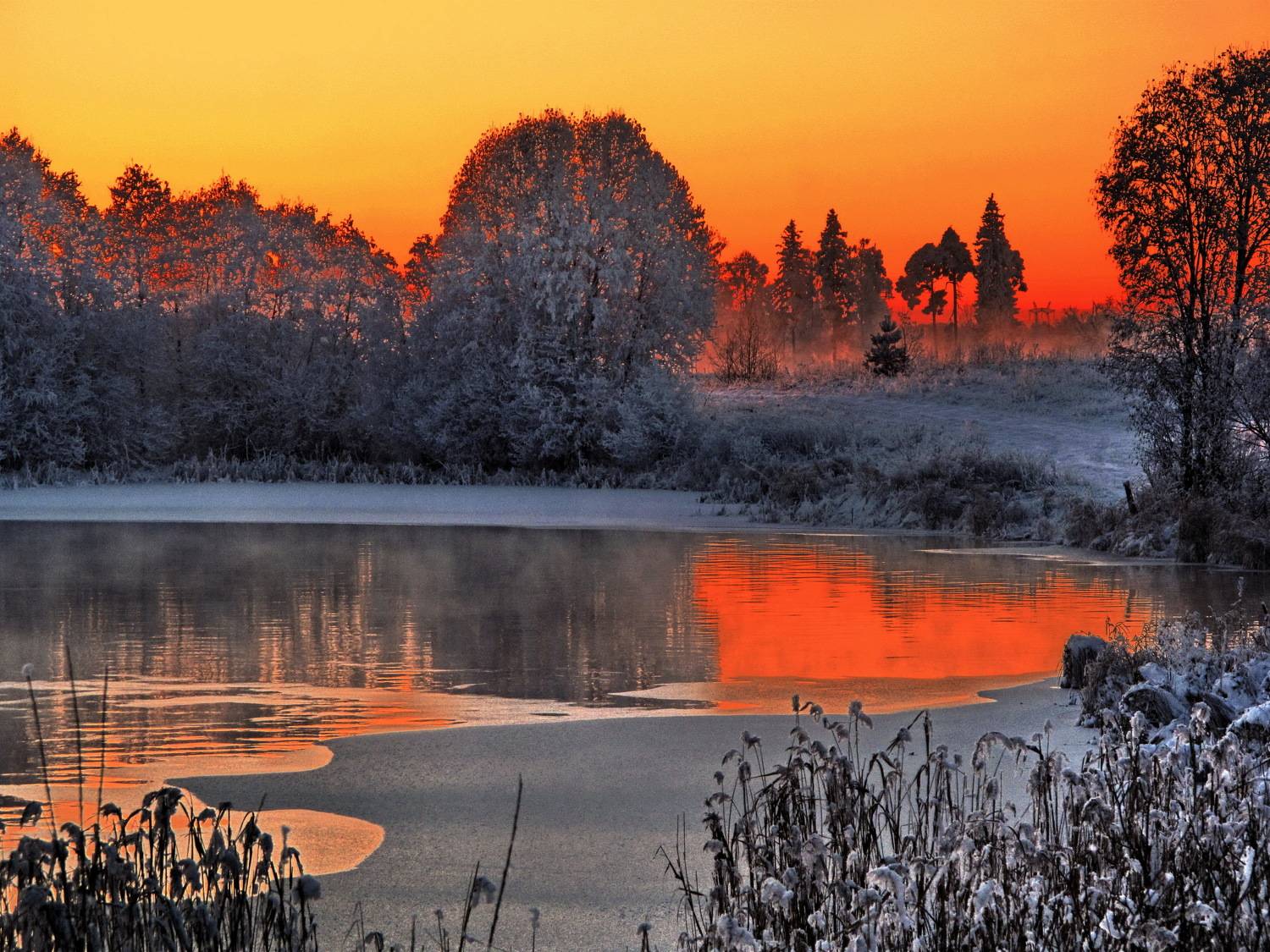 Photo #8398380