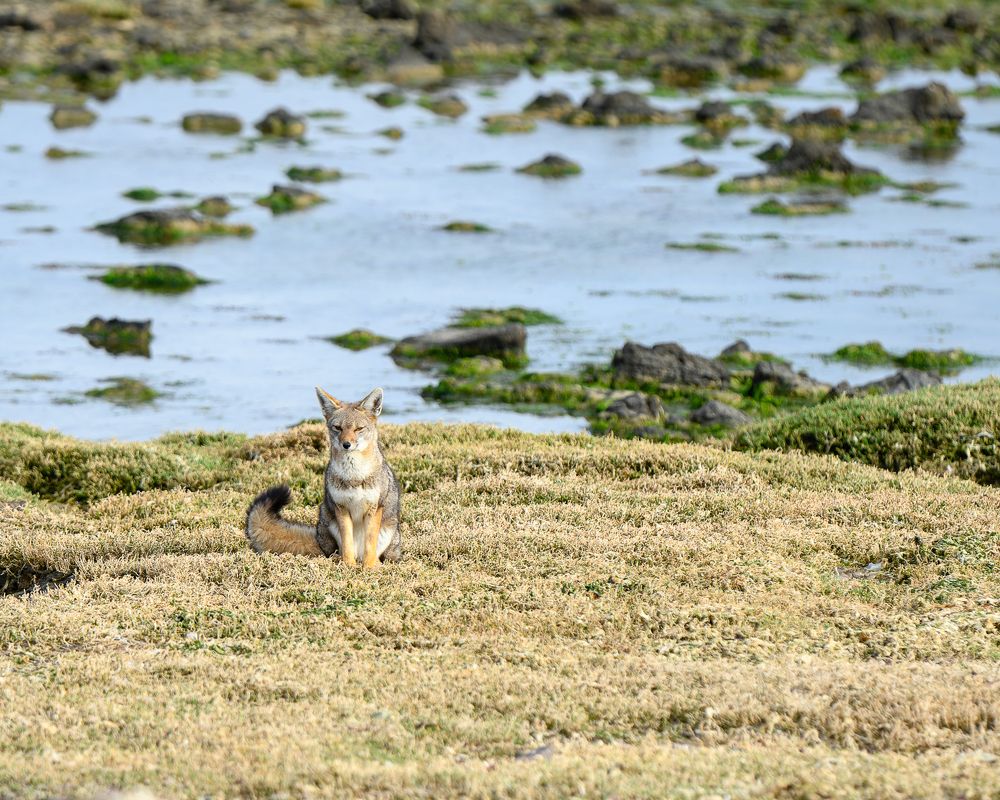 Photograph by Felix Carrega