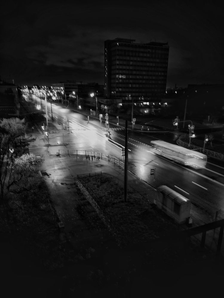 Photo #8398419