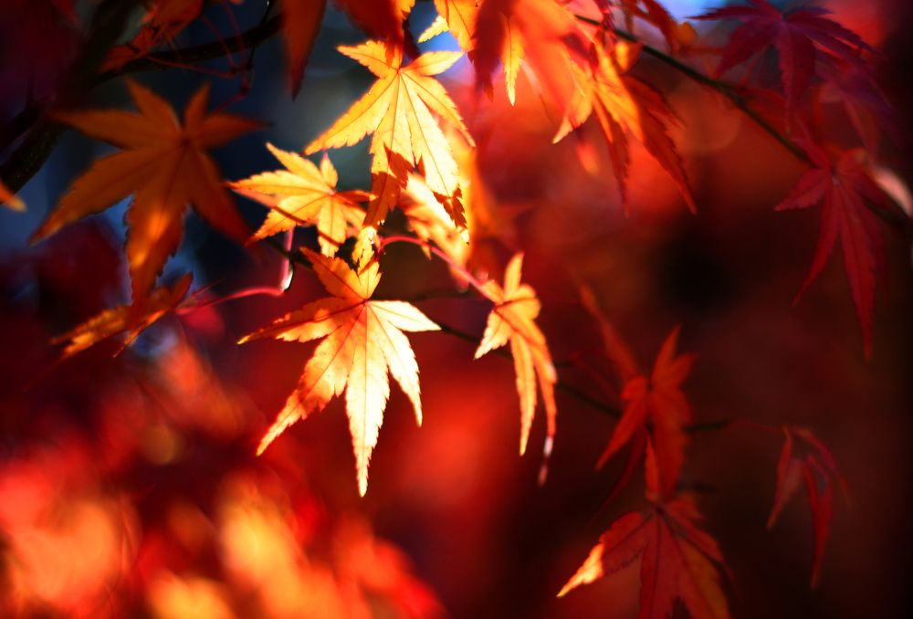 Фотография автора Наталья Белова