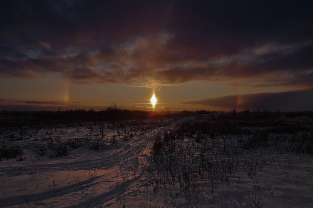 Photograph by Герасимова Елена