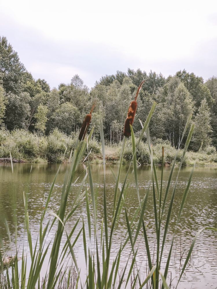 Photograph by Анна Санфирова