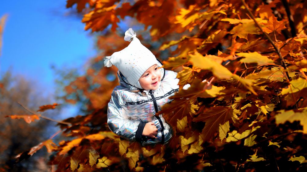 Осень пришла