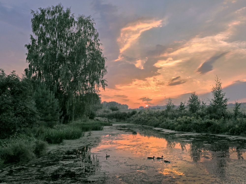 Photograph by Моложников Юрий