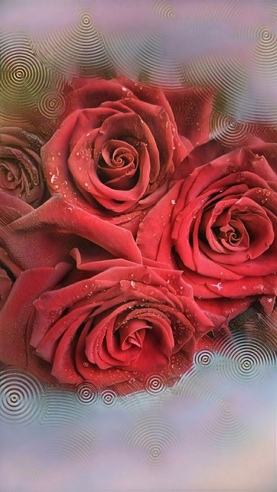 Photograph by Алла Холодова