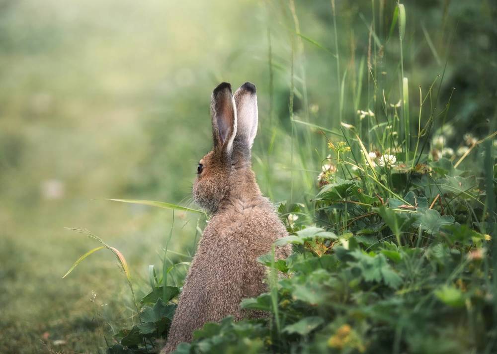 Photograph by Мозжухин Максим