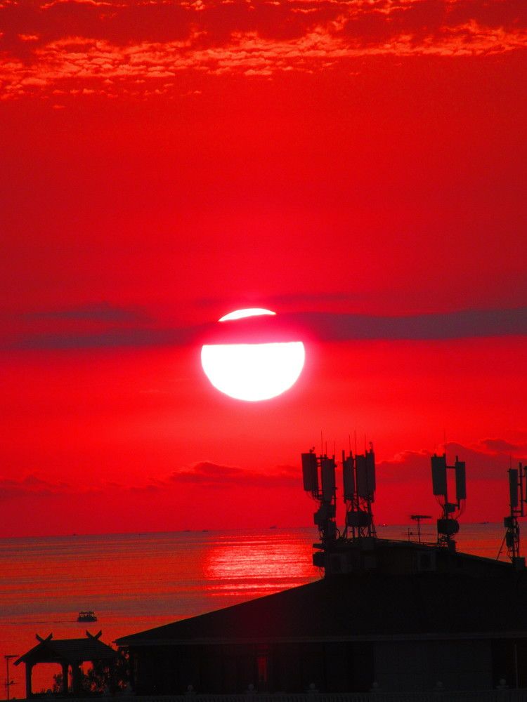 Photograph by Ольга Рогозина