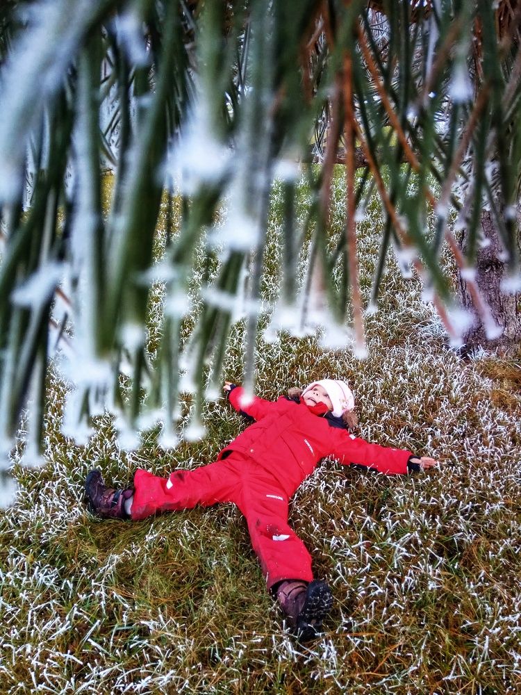 Photograph by Алла Холодова