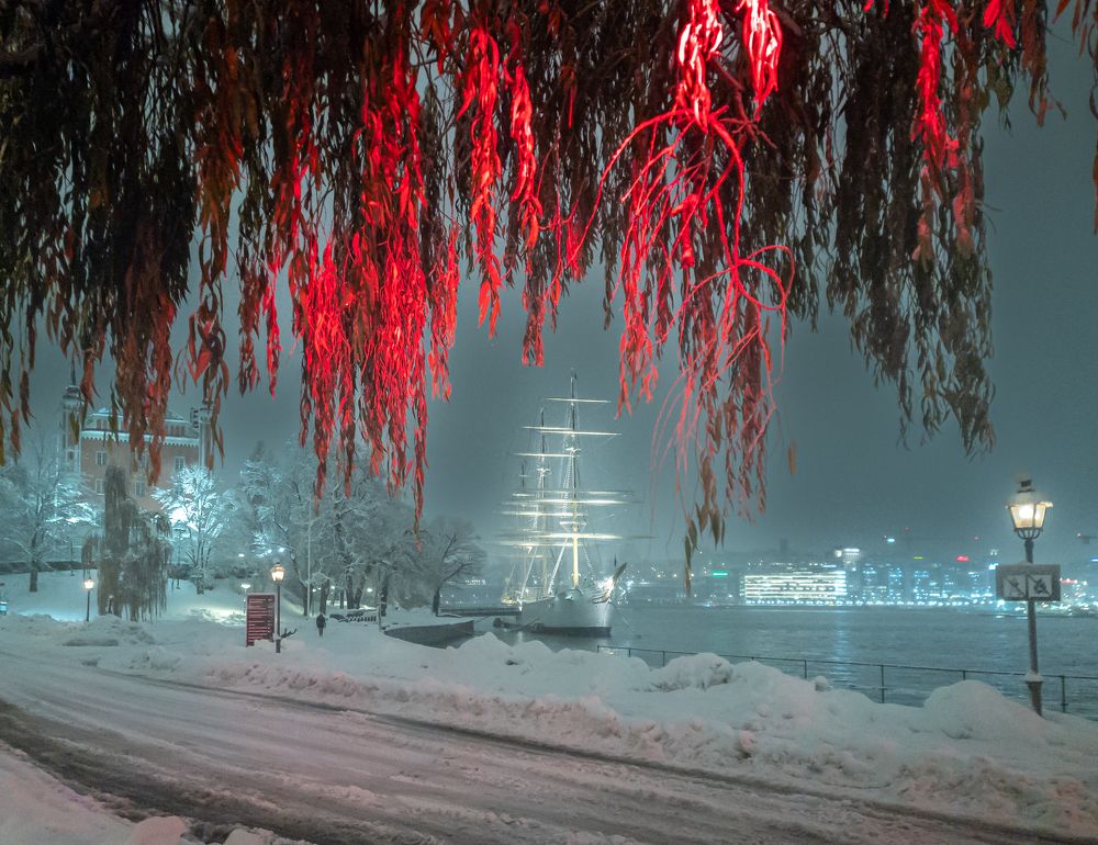 Фотография автора Julia A Caesar