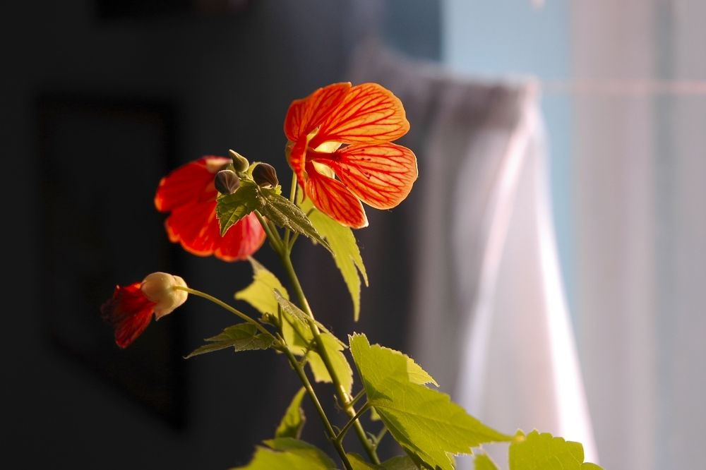 Photograph by Юрий Тимофеев