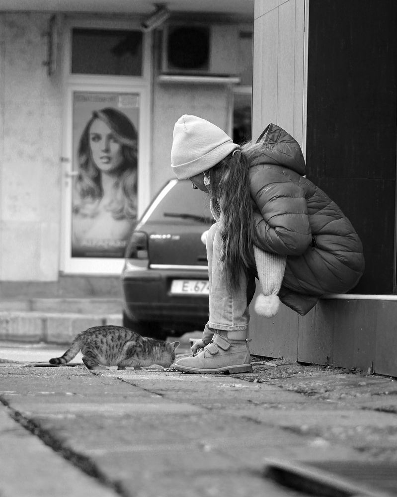 Photograph by Татьяна Войлокова