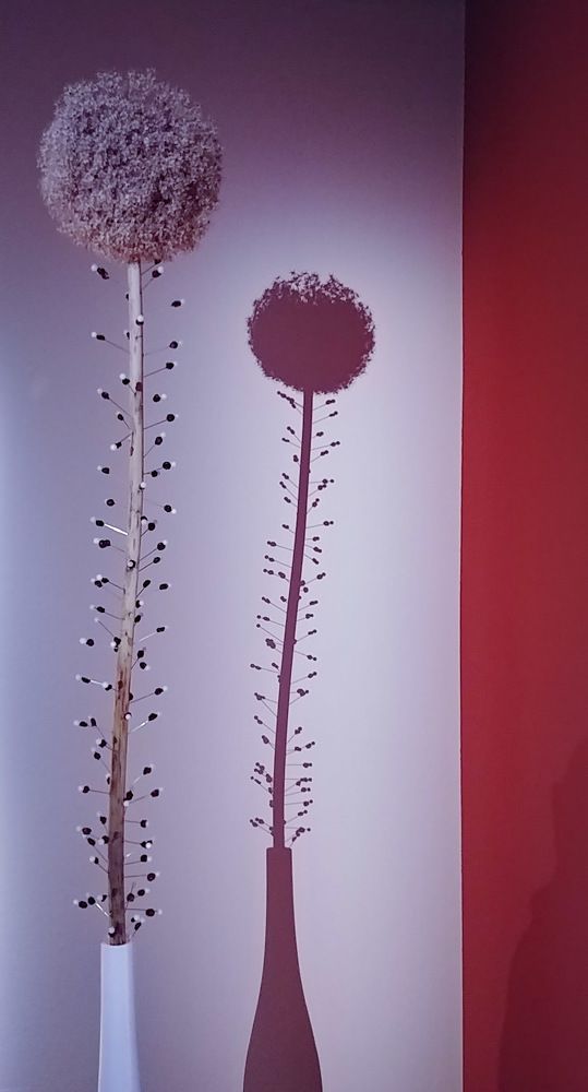 Photograph by Aleksandr Barsukov