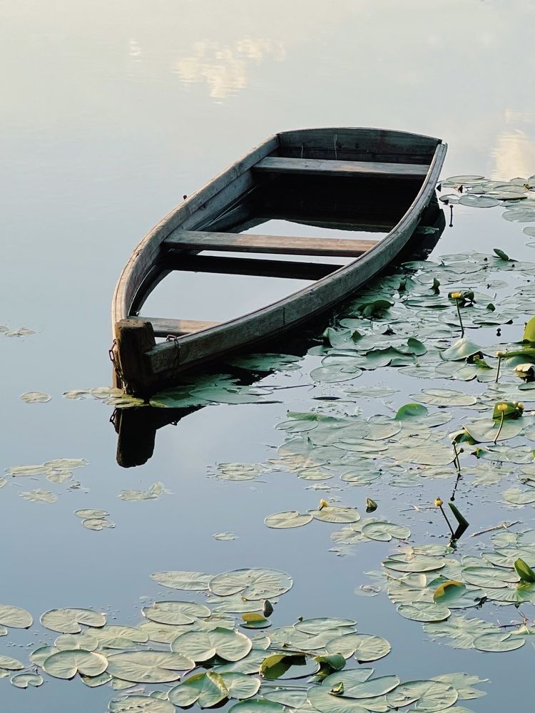 Photograph by Мария Боевая