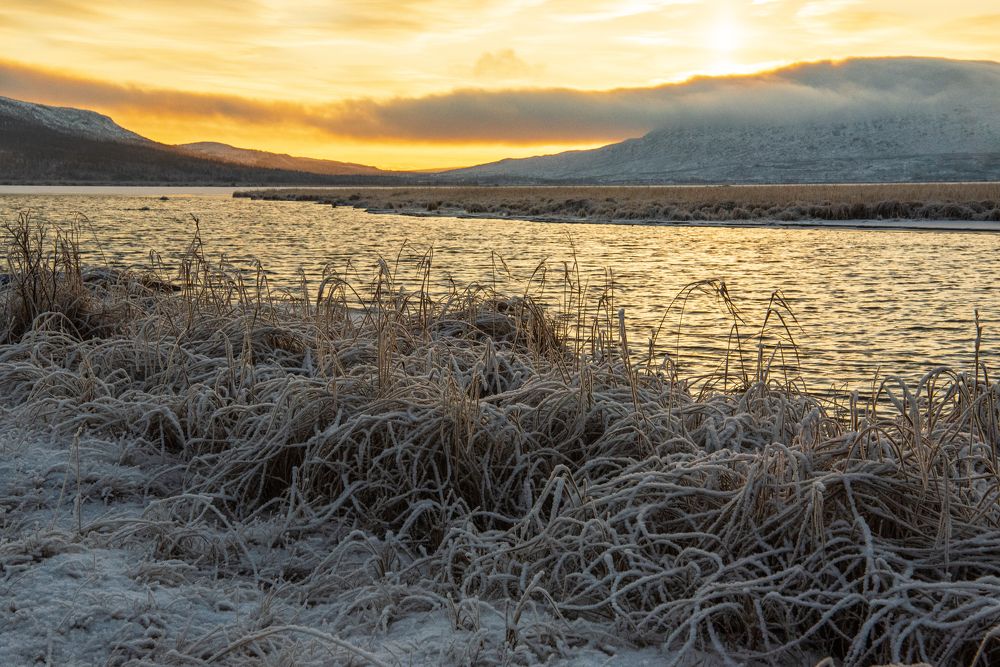Photograph by Юрий Платухин