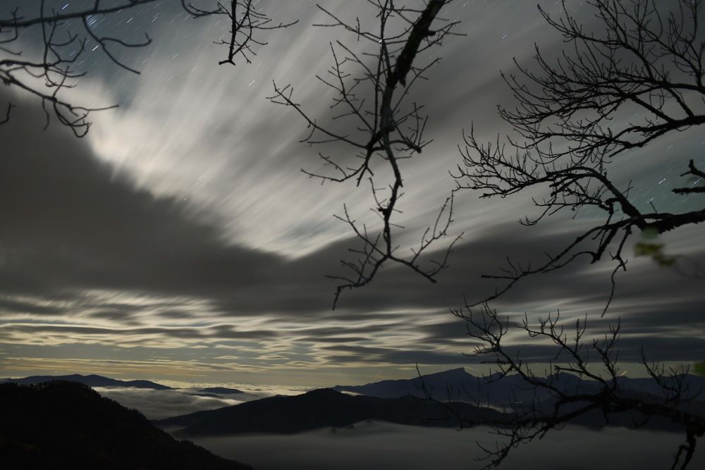 Фотография автора Медведев Сергей