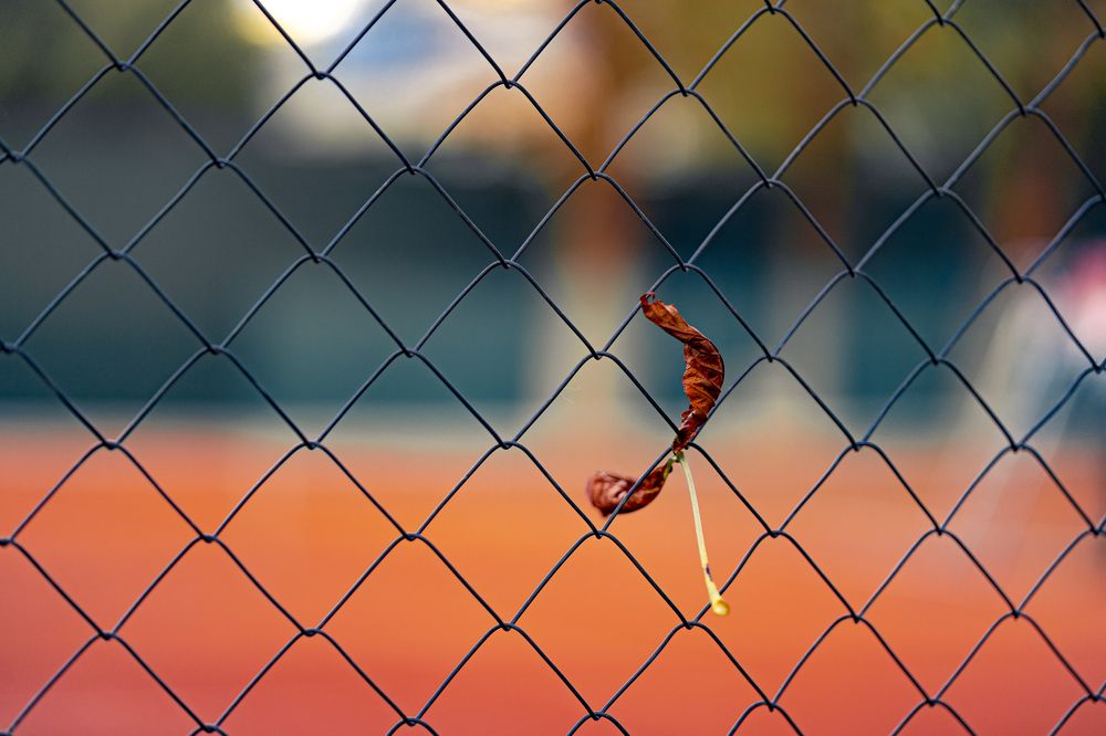 Photograph by Иван Новиков