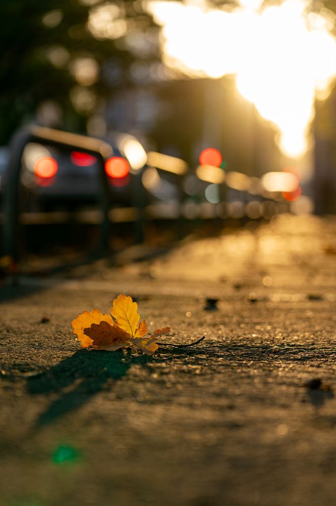 Photograph by Иван Новиков