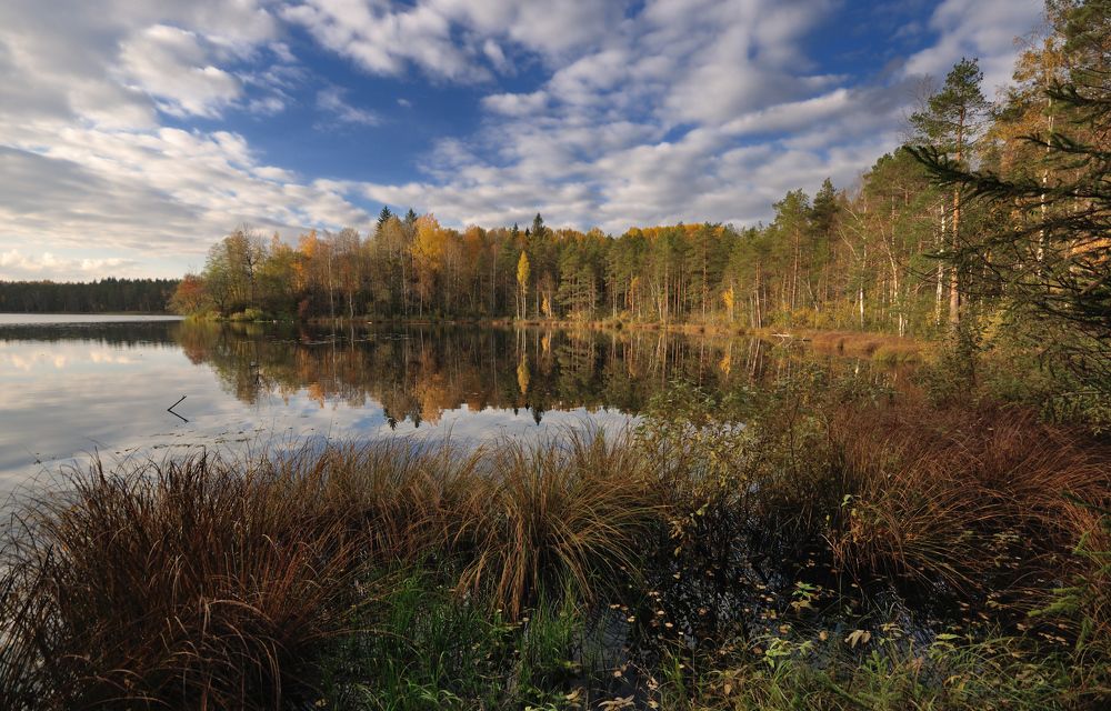 Photograph by Андрей Куликов