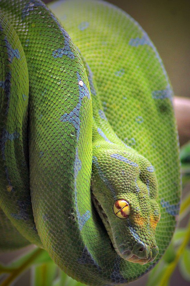 Photograph by erfan afiat sentosa