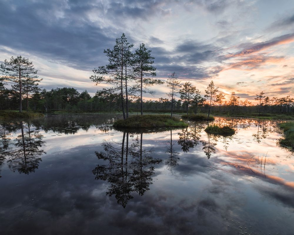 Photograph by Елизавета Белоусова