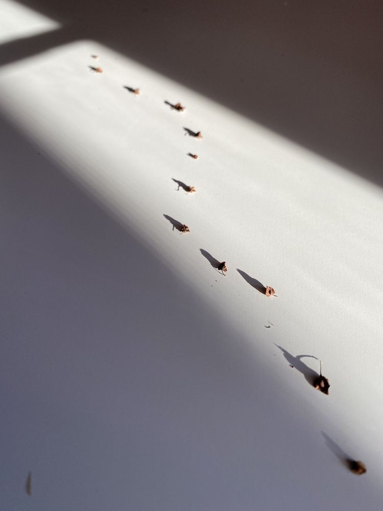 Photograph by Anna Fakhrutdinova