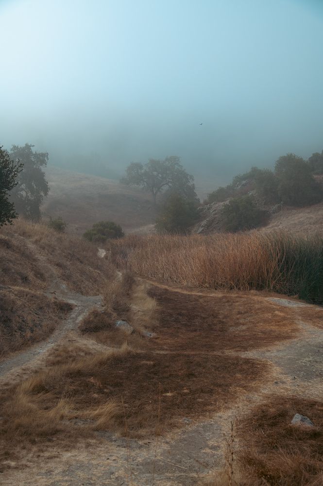 Photograph by Ekaterina Erofeeva