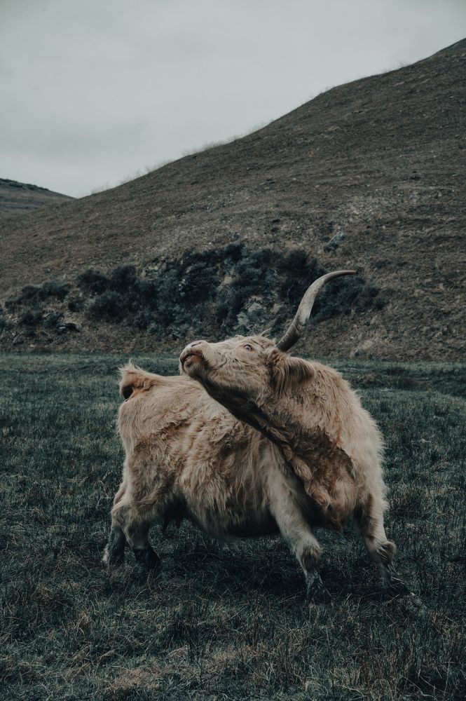 Photograph by Ekaterina Erofeeva