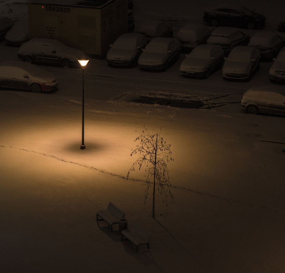 Фотография автора Виктор Руденко