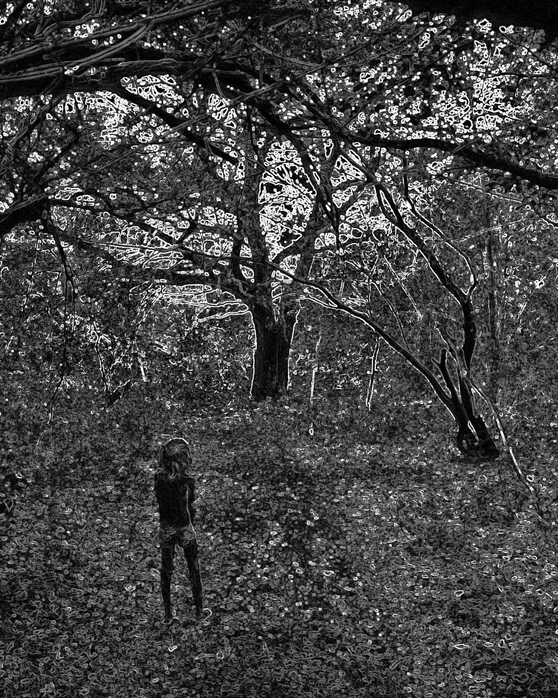 Photograph by Валентина Евгеньевна Семина