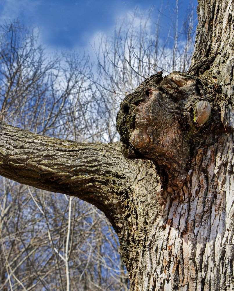 Photograph by Валентина Евгеньевна Семина