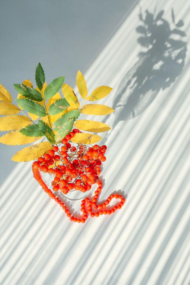 Фотография автора Альбина Кадочникова