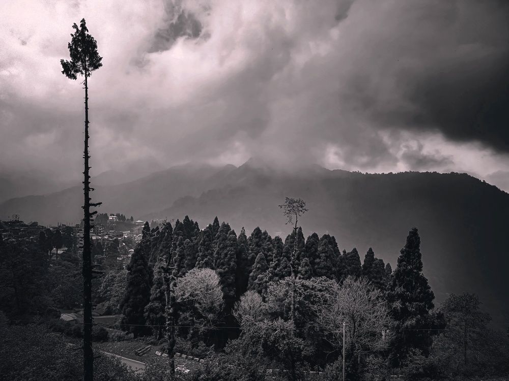 Photograph by Sudipta Sadhukhan