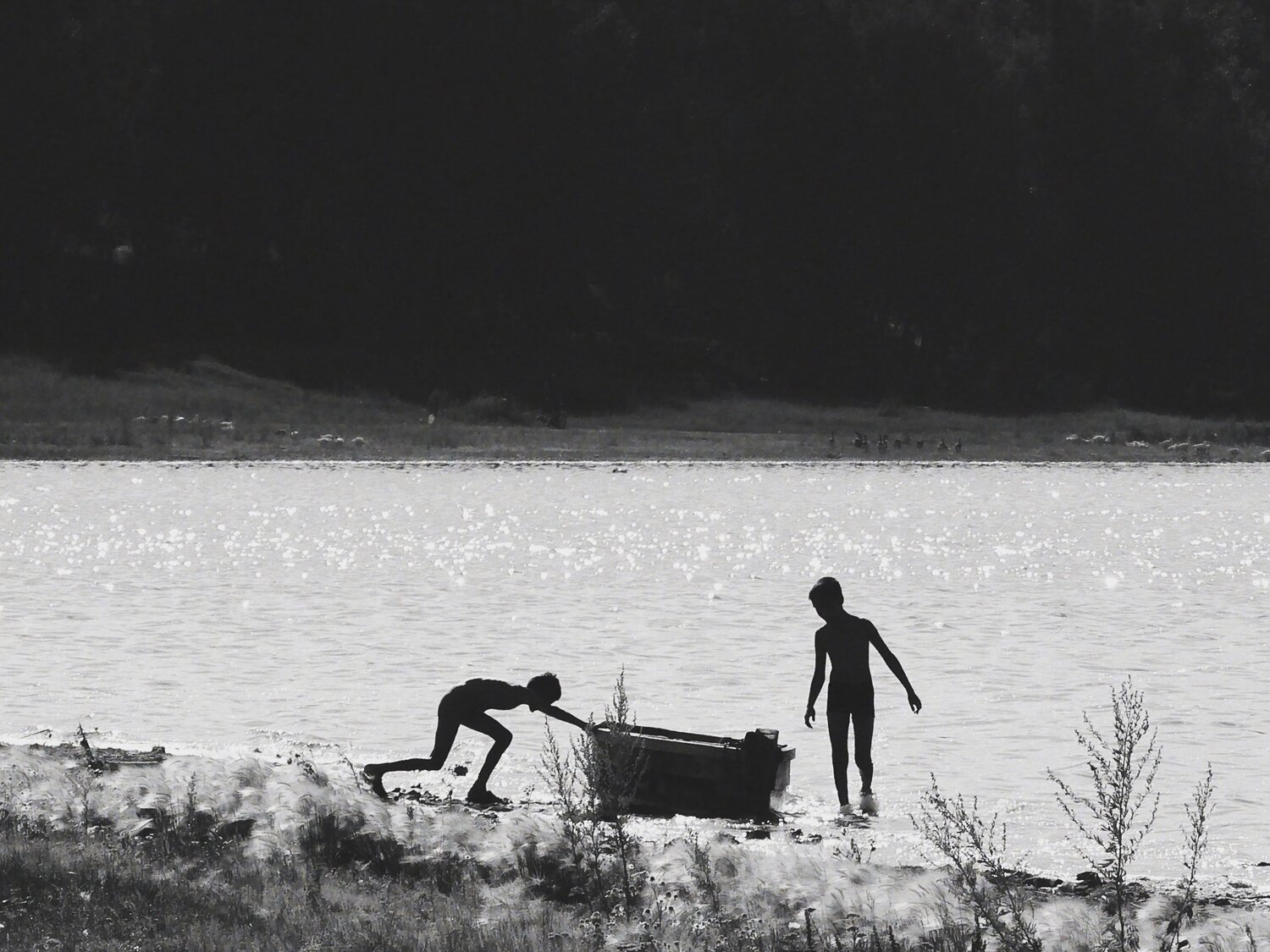 Photo #8399373