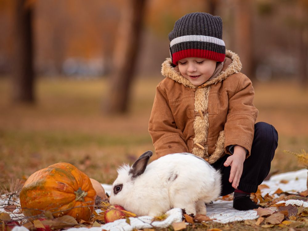 Photograph by Анна Гофман