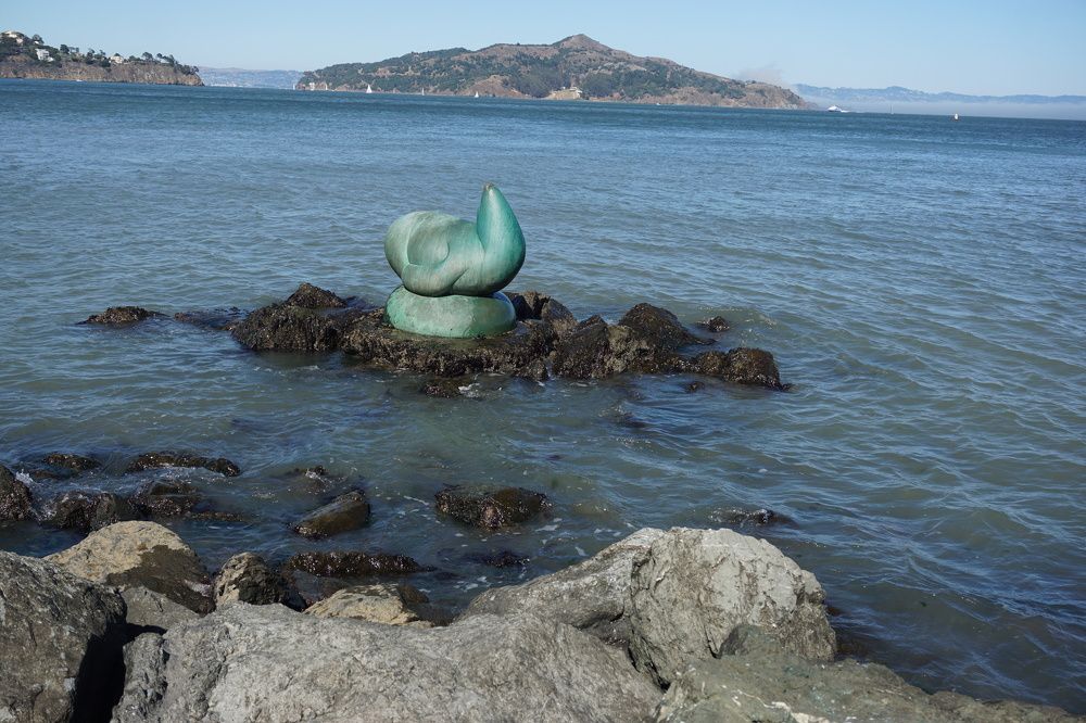 Photograph by Manish (Valmie) Joshi