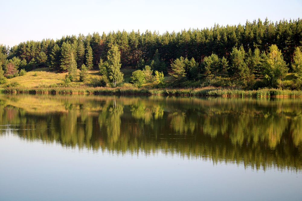 лесное озеро