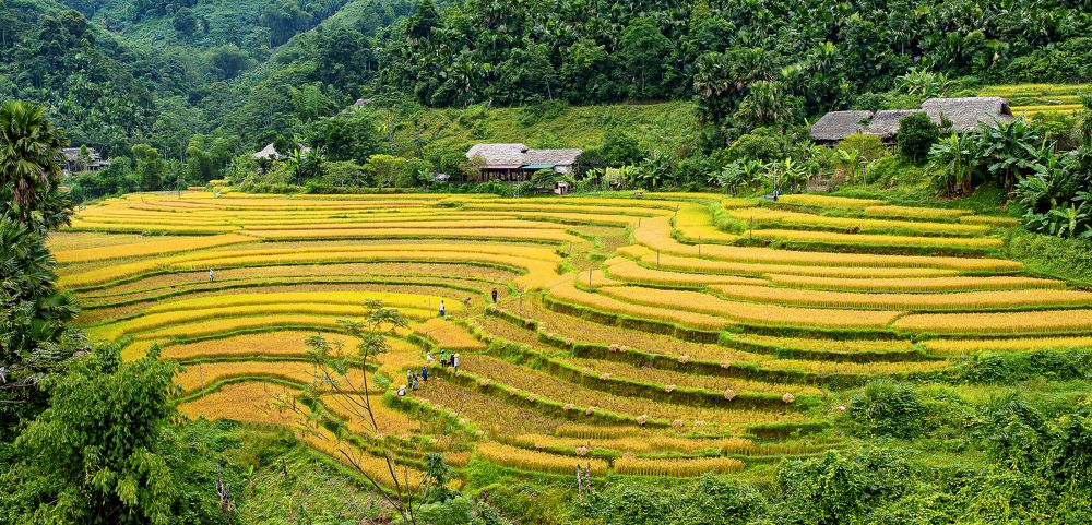 Photograph by PHUONG NGUYEN THANH