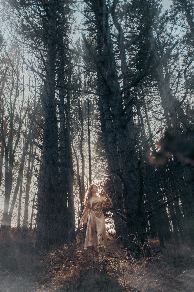 Get closer to the fulfillment of a dream